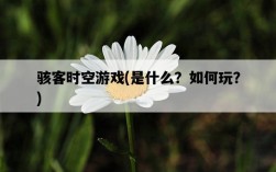 駭客時空游戲，是什么？如何玩？
