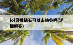 lol靈排鉆石可以去峽谷嗎，詳細解答