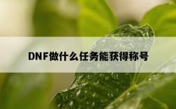 DNF做什么任務能獲得稱號