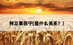 林立果張寧，是什么關系？