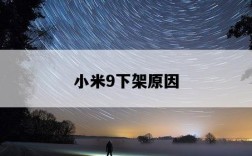 小米9下架原因