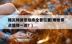 提瓦特游覽指南全套位置,哪些景點值得一游?