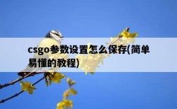 csgo參數設置怎么保存，簡單易懂的教程