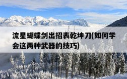 流星蝴蝶劍出招表乾坤刀，如何學會這兩種武器的技巧