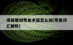 項目策劃專業術語怎么說，常用詞匯解析