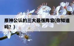 原神公認的三大最強陣容，你知道嗎？