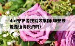 dnf守護者技能效果圖，哪些技能是值得投資的