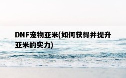 DNF寵物亞米，如何獲得并提升亞米的實力