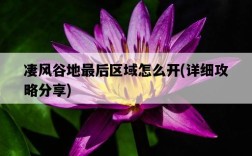 凄風谷地最后區域怎么開，詳細攻略分享