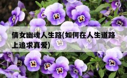 倩女幽魂人生路，如何在人生道路上追求真愛