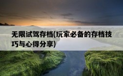 無限試駕存檔，玩家必備的存檔技巧與心得分享