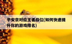 平安京對應王者段位，如何快速提升你的游戲排名