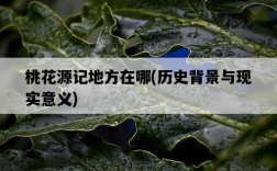 桃花源記地方在哪，歷史背景與現實意義