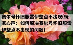 賽爾號懷舊服雷伊整點不出現，玩家心聲：如何解決賽爾號懷舊服雷伊整點不出現的問題