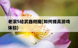 老滾5給武器附魔，如何提高游戲體驗