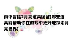 雨中冒險2月亮道具圖鑒，哪些道具能幫助你在游戲中更好地探索月亮世界
