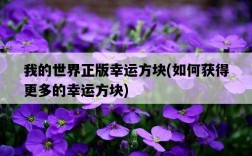 我的世界正版幸運方塊，如何獲得更多的幸運方塊