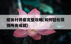 紺田村井底完整攻略，如何輕松獲得所有成就