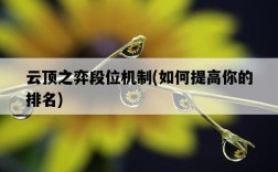 云頂之弈段位機制，如何提高你的排名