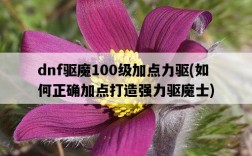 dnf驅魔100級加點力驅，如何正確加點打造強力驅魔士