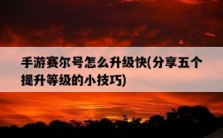 手游賽爾號怎么升級快，分享五個提升等級的小技巧