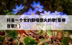抖音一個女的翻唱很火的歌，是哪首歌？