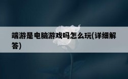 端游是電腦游戲嗎怎么玩，詳細解答