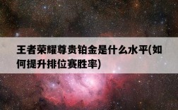 王者榮耀尊貴鉑金是什么水平，如何提升排位賽勝率