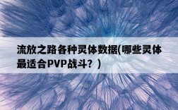 流放之路各種靈體數據，哪些靈體最適合PVP戰斗？