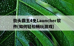 街頭霸王4免Launcher軟件，如何輕松暢玩游戲