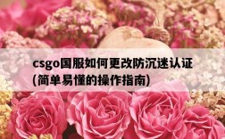 csgo國服如何更改防沉迷認證，簡單易懂的操作指南