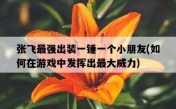 張飛最強出裝一錘一個小朋友，如何在游戲中發揮出最大威力