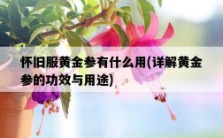 懷舊服黃金參有什么用，詳解黃金參的功效與用途