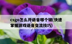 csgo怎么開語音哪個鍵，快速掌握游戲語音交流技巧