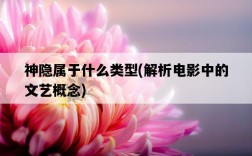 神隱屬于什么類型，解析電影中的文藝概念