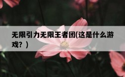 無限引力無限王者團，這是什么游戲？