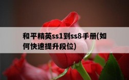 和平精英ss1到ss8手冊，如何快速提升段位