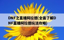 DNF之直播阿拉德，全面了解DNF直播阿拉德玩法攻略