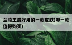 蘭陵王最好用的一款皮膚，哪一款值得購買