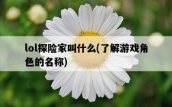 lol探險家叫什么，了解游戲角色的名稱