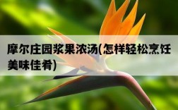 摩爾莊園漿果濃湯，怎樣輕松烹飪美味佳肴