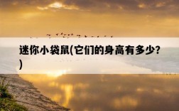 迷你小袋鼠，它們的身高有多少？