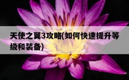 天使之翼3攻略，如何快速提升等級和裝備