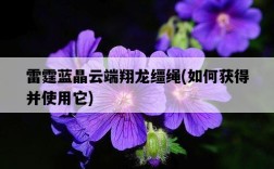 雷霆藍晶云端翔龍韁繩，如何獲得并使用它