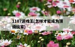 1107游戲王,怎樣才能成為頂級玩家