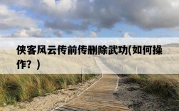 俠客風云傳前傳刪除武功，如何操作？
