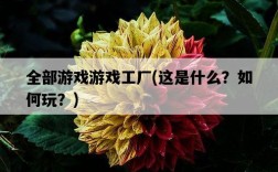 全部游戲游戲工廠，這是什么？如何玩？