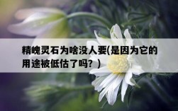 精魄靈石為啥沒人要，是因為它的用途被低估了嗎？