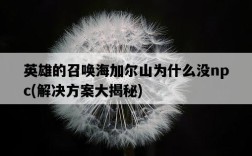 英雄的召喚海加爾山為什么沒npc，解決方案大揭秘
