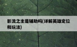 影流之主是輔助嗎，詳解英雄定位和玩法